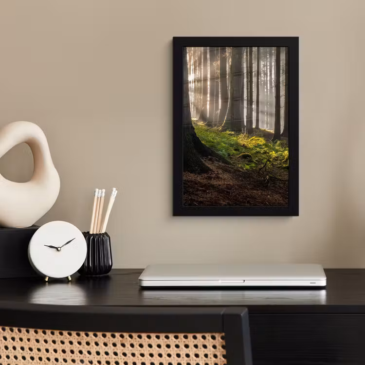 Zon - Takken - Bomen - Bos - Natuur fotolijst zwart zonder passe partout klein -sfeer1