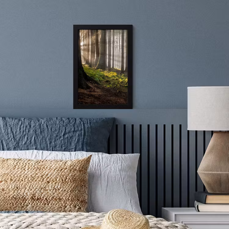 Zon - Takken - Bomen - Bos - Natuur fotolijst zwart zonder passe partout klein -sfeer3
