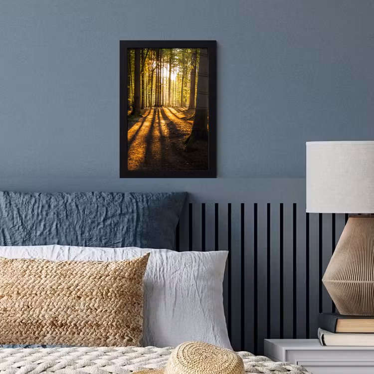 Zon - Bomen - Bos - Landschap - Natuur fotolijst zwart zonder passe partout klein -sfeer3