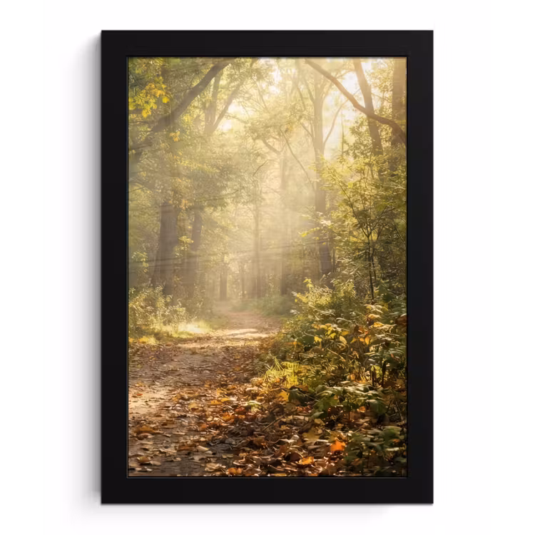 Zonlicht - Bospad - Bomen fotolijst zwart zonder passe partout klein -3d