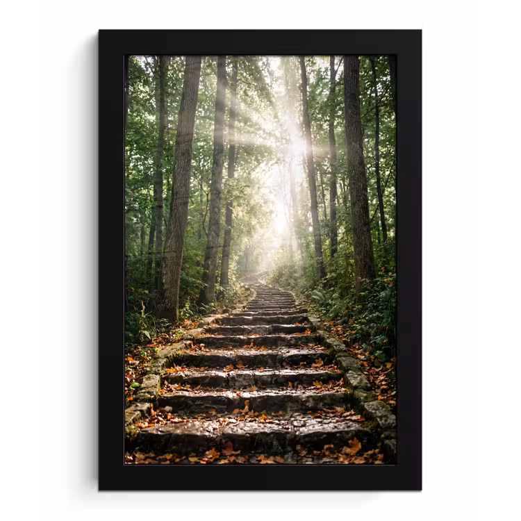 Stenen - Trap - Bos - Natuur fotolijst zwart zonder passe partout klein -3d