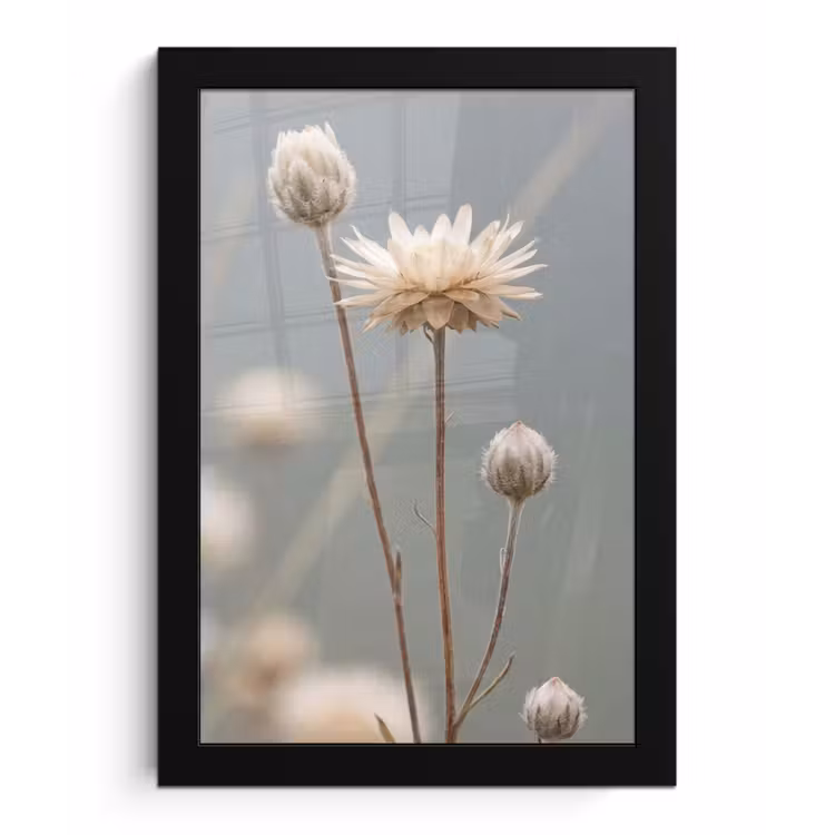 Strobloemen - Wit - Daglicht fotolijst zwart zonder passe partout klein -3d