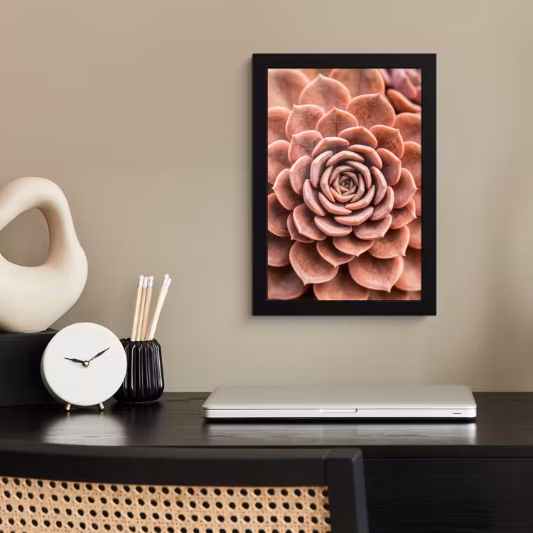 Vetplant - Organisch - Roze fotolijst zwart zonder passe partout klein -sfeer1