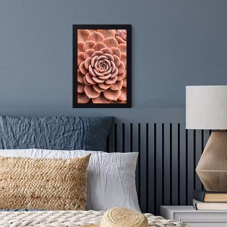 Vetplant - Organisch - Roze fotolijst zwart zonder passe partout klein -sfeer3