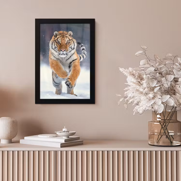 Tijger - Landschap - Sneeuw - Winter - Dieren fotolijst zwart zonder passe partout klein -sfeer5
