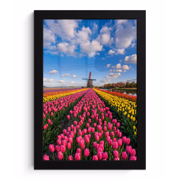 Tulpen - Holland - Molen - Kleurrijk fotolijst zwart zonder passe partout klein -3d
