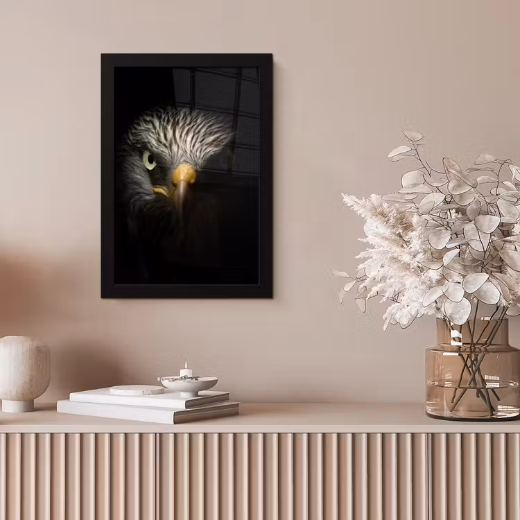 Vogel - Adelaar - Roofvogels - Oog - Snavel - Licht fotolijst zwart zonder passe partout klein -sfeer5
