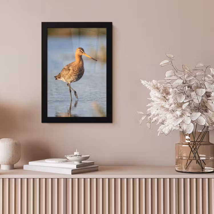 Vogel - Steltloper - Water - Natuur fotolijst zwart zonder passe partout klein -sfeer5