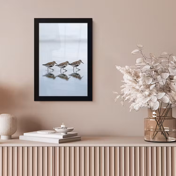 Vogels - Water - Grijs fotolijst zwart zonder passe partout klein -sfeer5