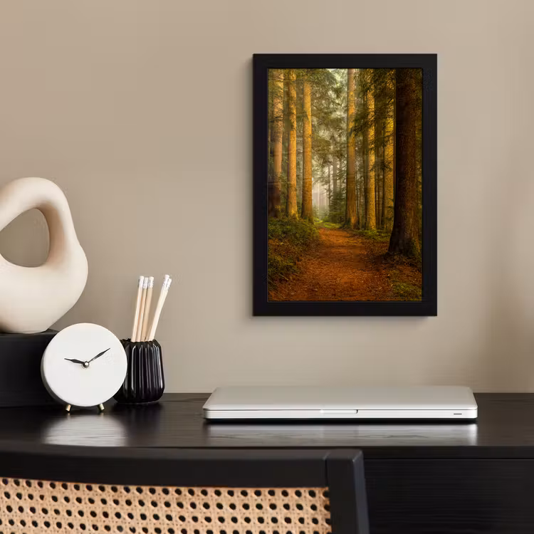 Bos - Natuur - Bomen - Landschap - Bladeren fotolijst zwart zonder passe partout klein -sfeer1