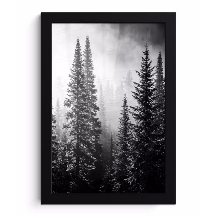 Bos - Mist - Winter - Monochroom - Natuur fotolijst zwart zonder passe partout klein -3d