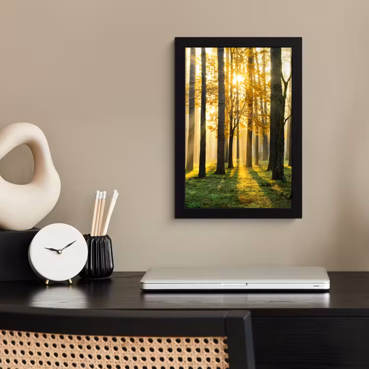 Bos - Zon - Bomen - Gras - Landschap - Natuur fotolijst zwart zonder passe partout klein -sfeer1