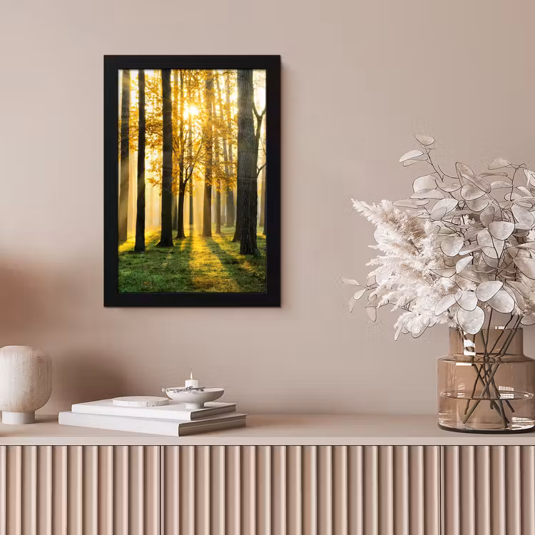 Bos - Zon - Bomen - Gras - Landschap - Natuur fotolijst zwart zonder passe partout klein -sfeer5