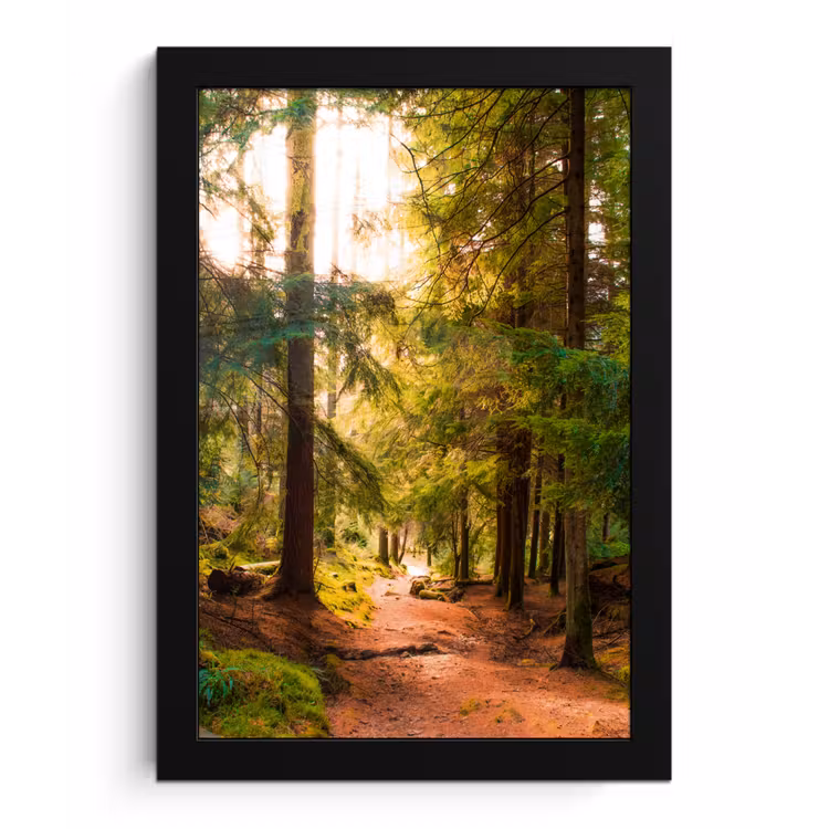 Bos - Pad - Bomen - Groen - Zon - Natuur fotolijst zwart zonder passe partout klein -3d