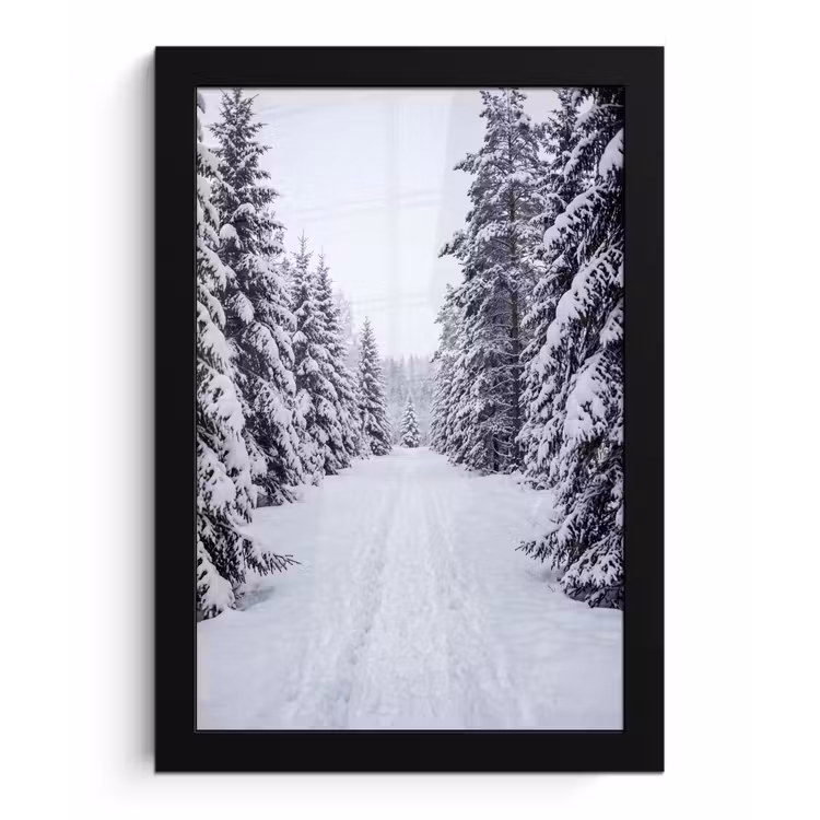 Bos - Winter - Sneeuw - Pad - Natuur fotolijst zwart zonder passe partout klein -3d