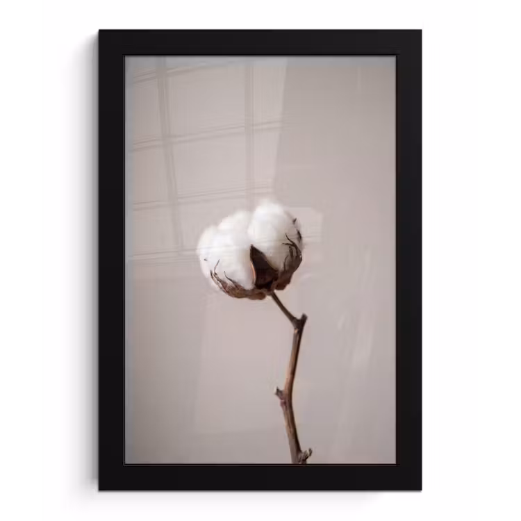 Katoenbol - Minimalistisch - Wit fotolijst zwart zonder passe partout klein -3d