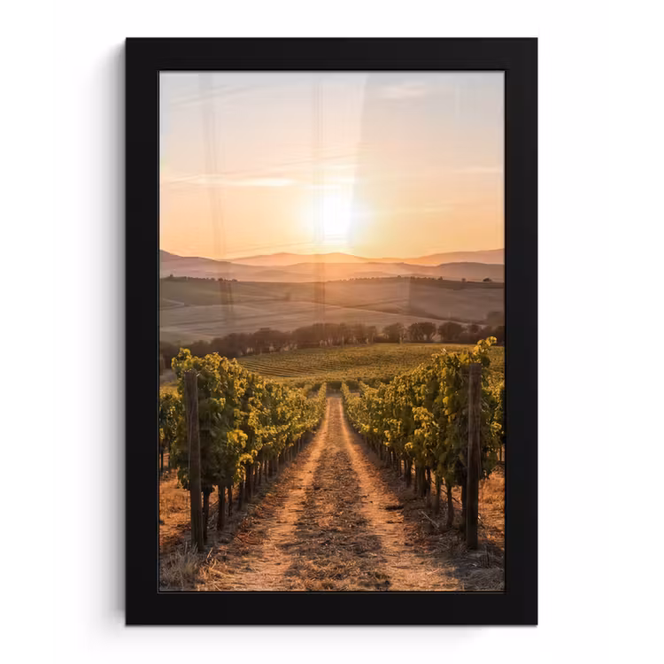 Wijngaard - Zonsondergang - Landschap fotolijst zwart zonder passe partout klein -3d