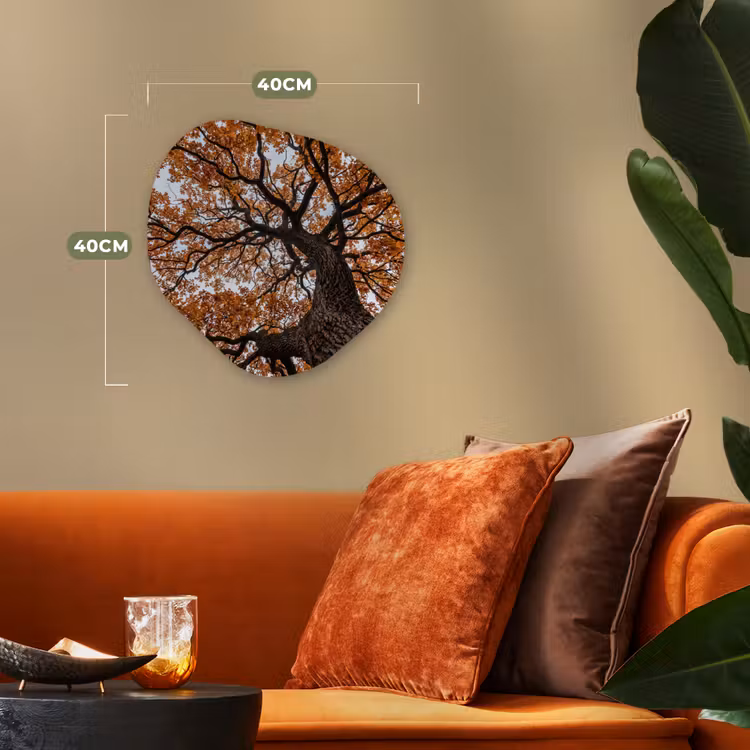 Boom - Bladerdak - Herfst - Oranje - Sfeervol Wandcirkel Organisch Forex 3mm klein -sfeer3