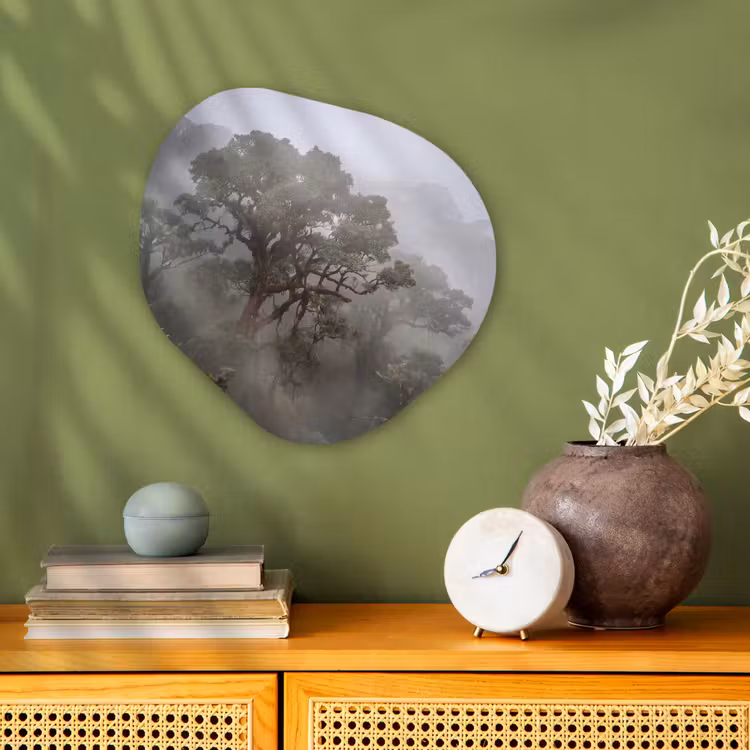 Boom - Mistig - Bos - Groen - Natuur Wandcirkel Organisch Forex 3mm klein -sfeer2