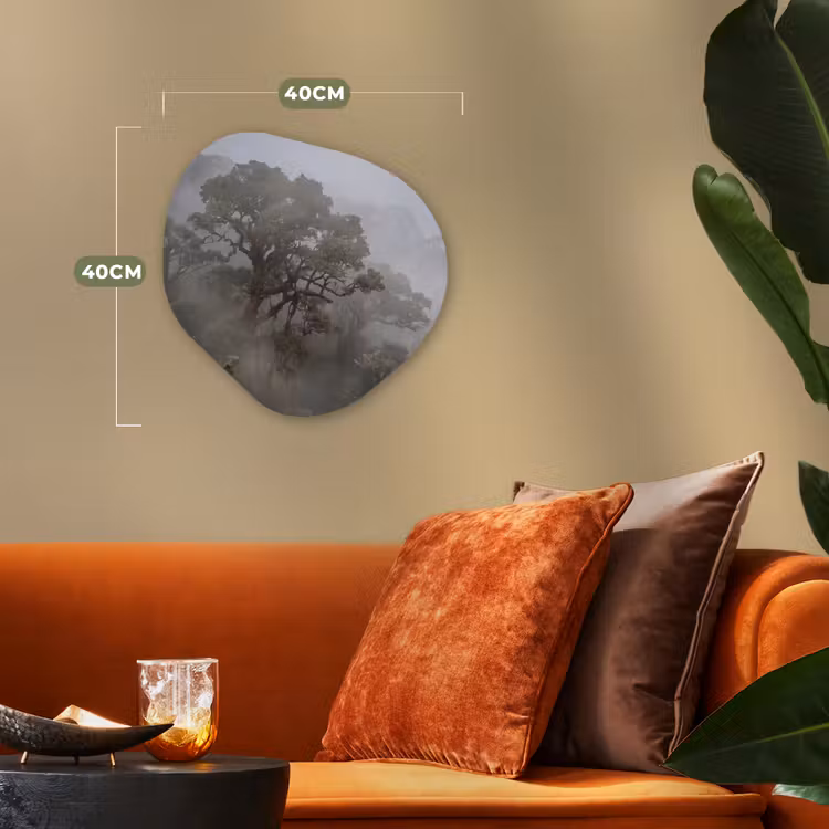 Boom - Mistig - Bos - Groen - Natuur Wandcirkel Organisch Forex 3mm klein -sfeer3
