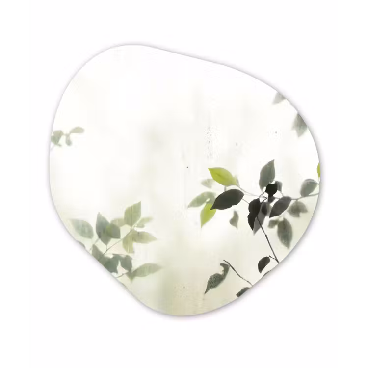 Blad - Schaduw - Natuur - Abstract - Groen Wandcirkel Organisch Forex 3mm klein -3d