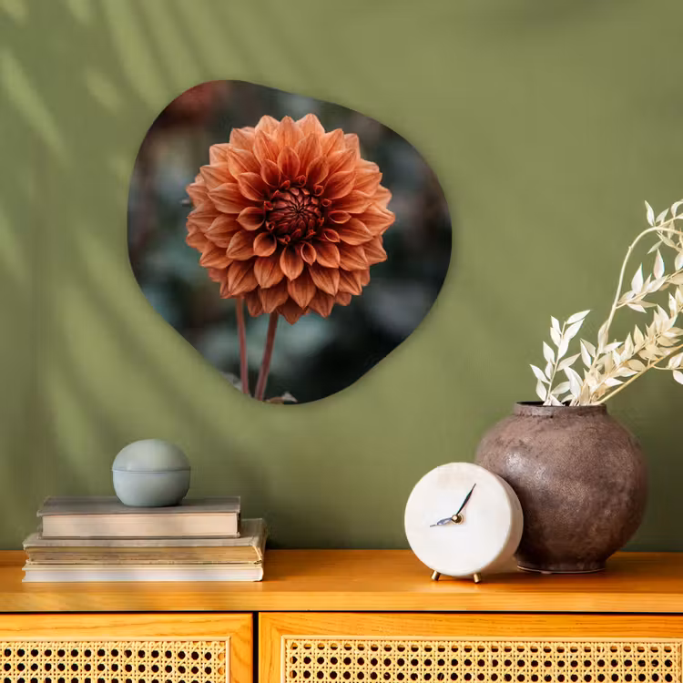 Dahlia - Bloem - Natuur - Sfeervol Wandcirkel Organisch Forex 3mm klein -sfeer2