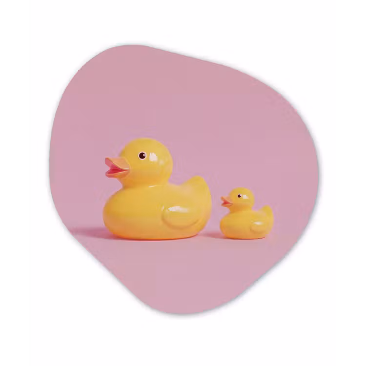 Eendjes - Vrolijk - Roze Wandcirkel Organisch Forex 3mm klein -3d