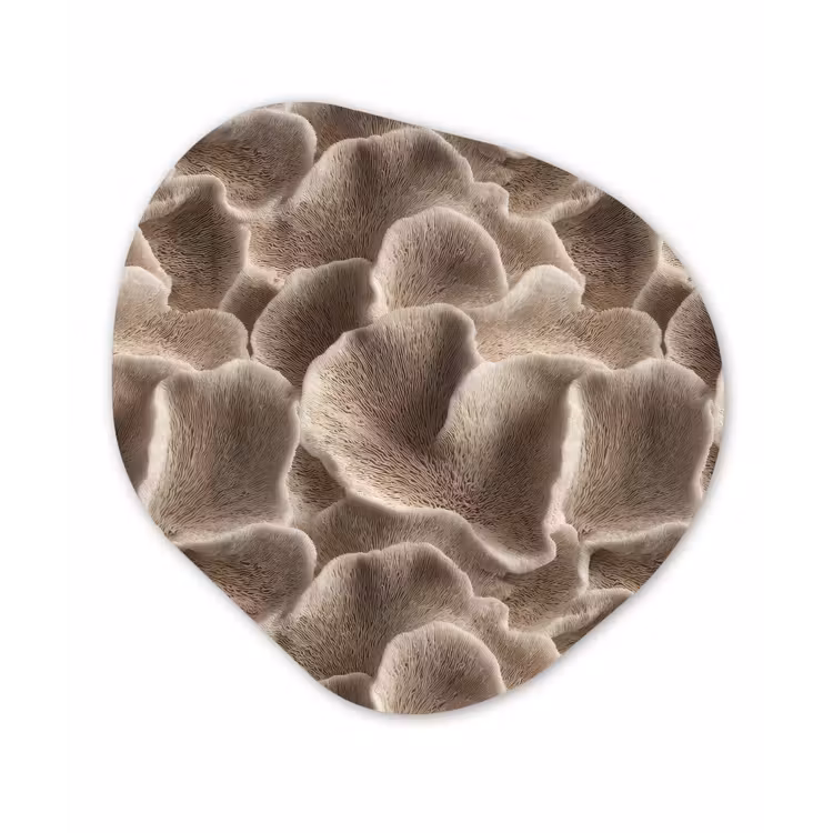Waaiervorm - Beige - Vezel textuur Wandcirkel Organisch Forex 3mm klein 629 -3d