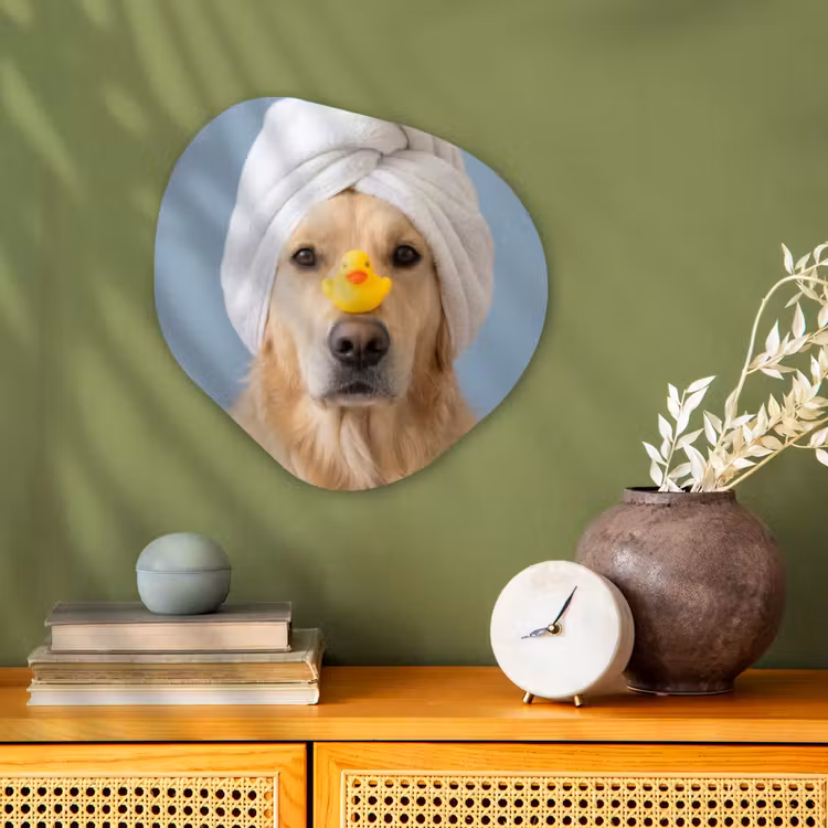 Hond - Badeend - Geel Wandcirkel Organisch Forex 3mm klein -sfeer2