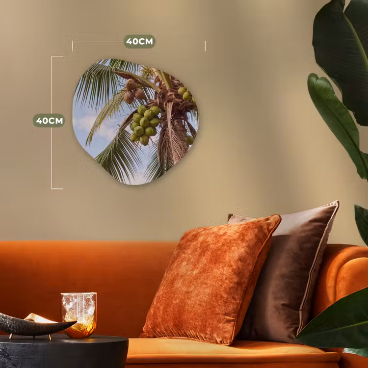 Kokosnoot - Boom - Tropisch - Natuur - Groen Wandcirkel Organisch Forex 3mm klein -sfeer3