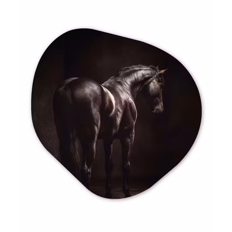 Krachtig - Paard - Donker Wandcirkel Organisch Forex 3mm klein -3d