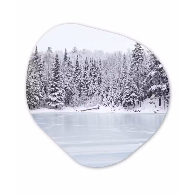 Meer - Dennen - IJs - Winter - Rustgevend Wandcirkel Organisch Forex 3mm klein -3d
