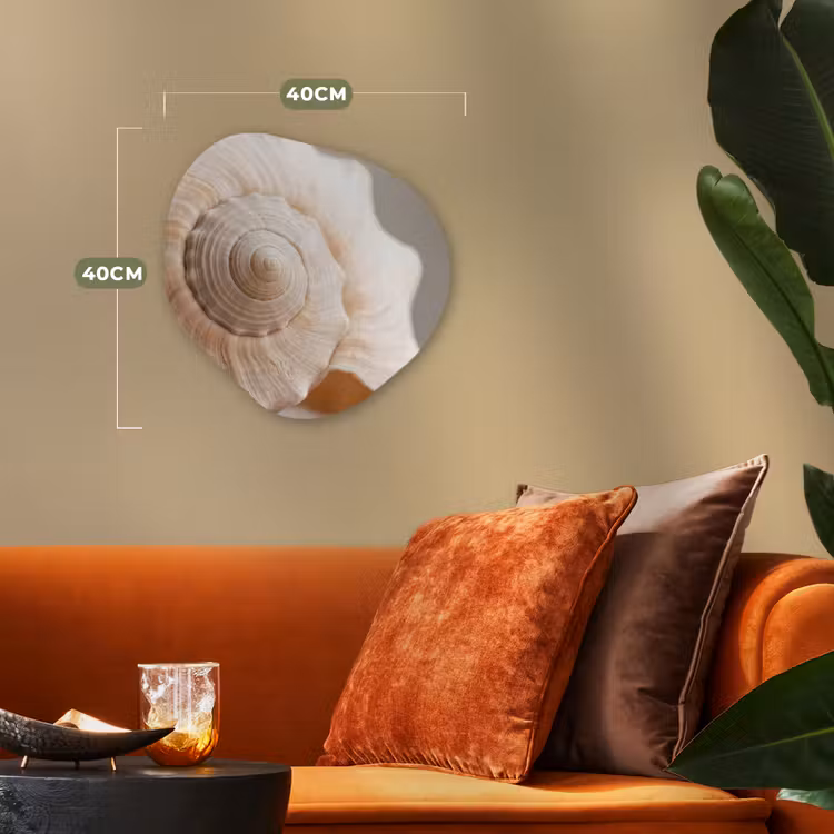 Schelp - Detail - Beige Wandcirkel Organisch Forex 3mm klein -sfeer3