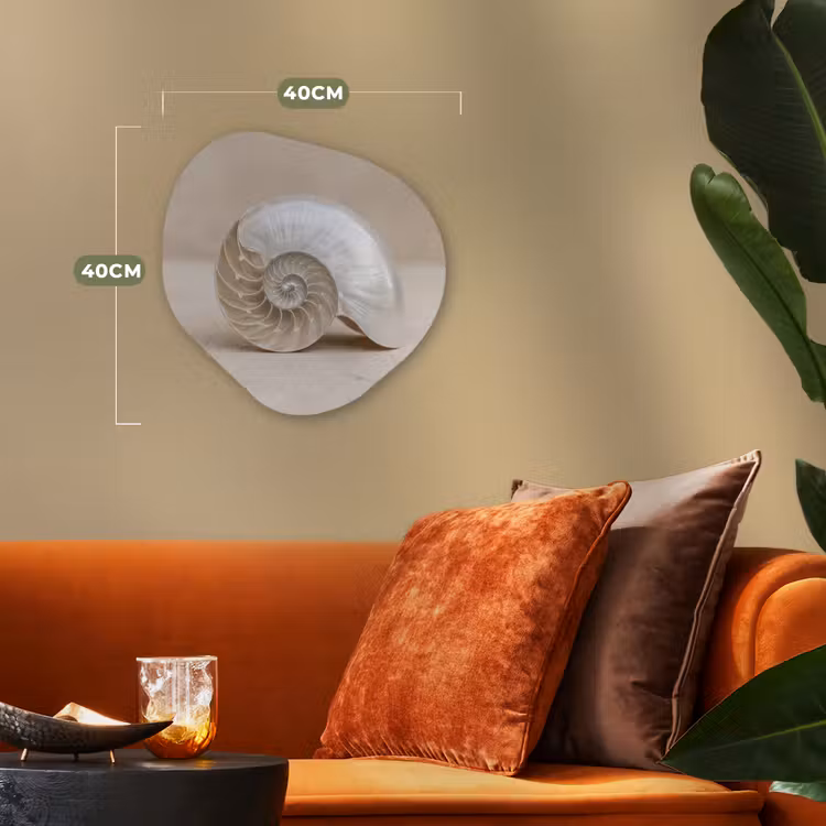 Schelp - Spiraal - Beige Wandcirkel Organisch Forex 3mm klein -sfeer3