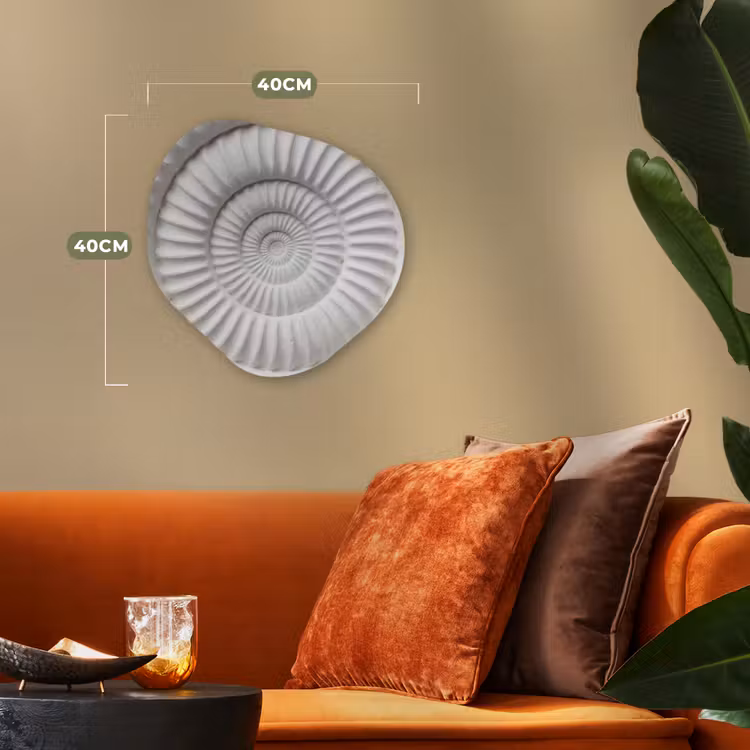 Schelp - Spiraal - Wit Wandcirkel Organisch Forex 3mm klein -sfeer3