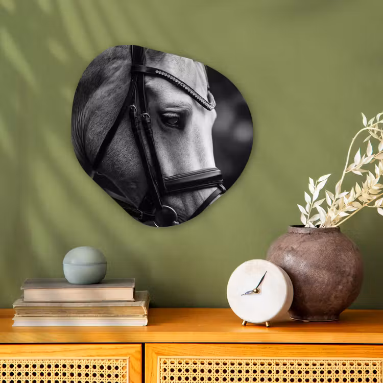 Paard - Schimmel - Portret Wandcirkel Organisch Forex 3mm klein -sfeer2