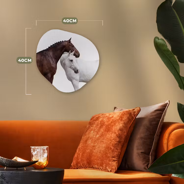 Paard - Modern - Balans Wandcirkel Organisch Forex 3mm klein -sfeer3
