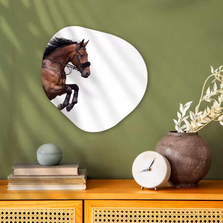 Paard - Springen - Modern Wandcirkel Organisch Forex 3mm klein -sfeer2