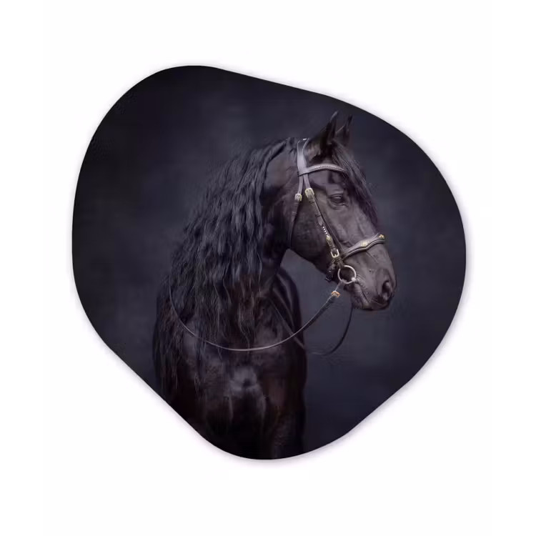 Portret - Paard - Donker Wandcirkel Organisch Forex 3mm klein -3d