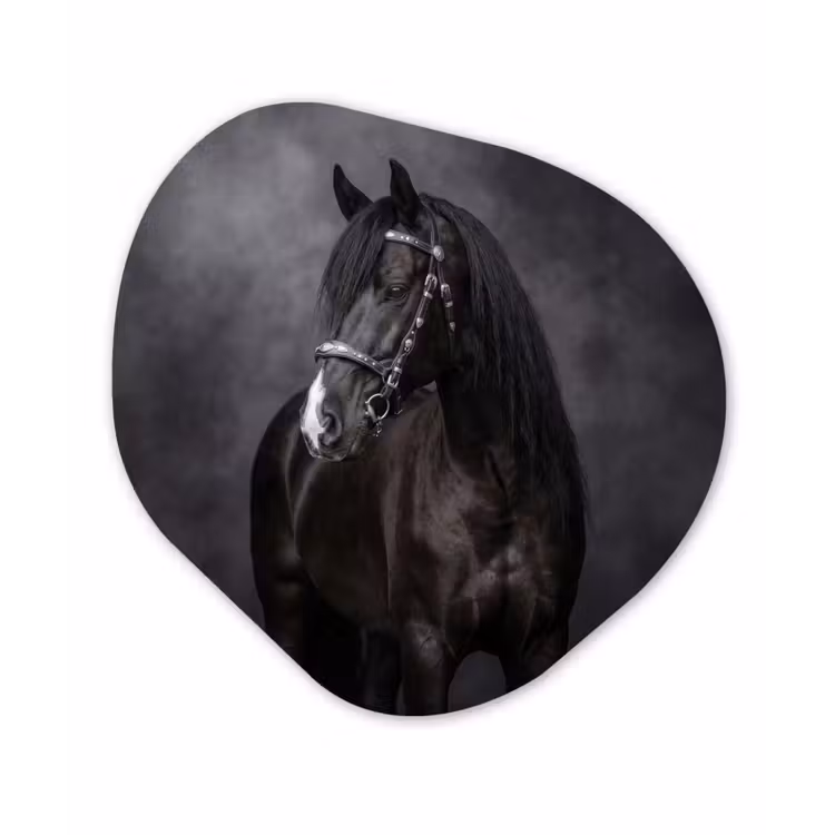 Portret - Paard - Zwart Wandcirkel Organisch Forex 3mm klein -3d
