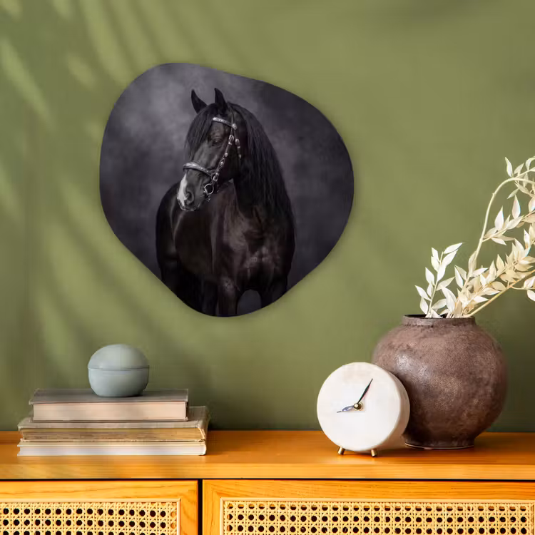 Portret - Paard - Zwart Wandcirkel Organisch Forex 3mm klein -sfeer2
