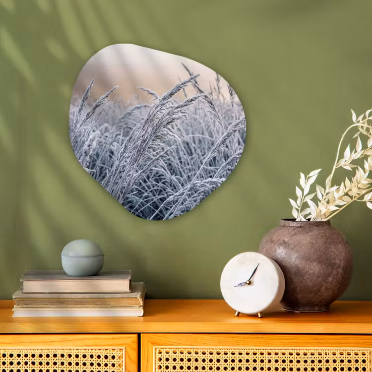 Rijp - Gras - Kristallen - Winter - Minimalistisch Wandcirkel Organisch Forex 3mm klein -sfeer2