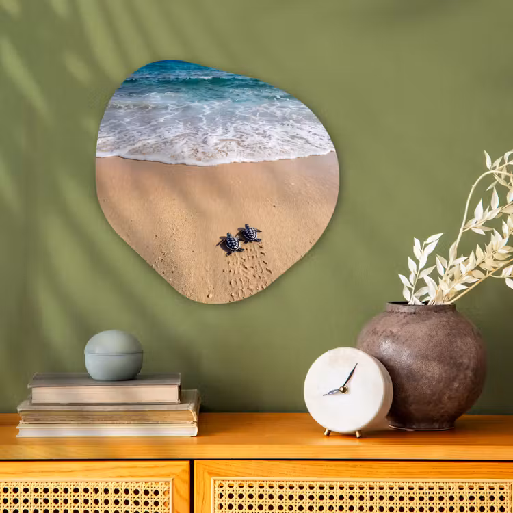 Schildpad - Jong - Strand - Oceaan - Blauw Wandcirkel Organisch Forex 3mm klein -sfeer2
