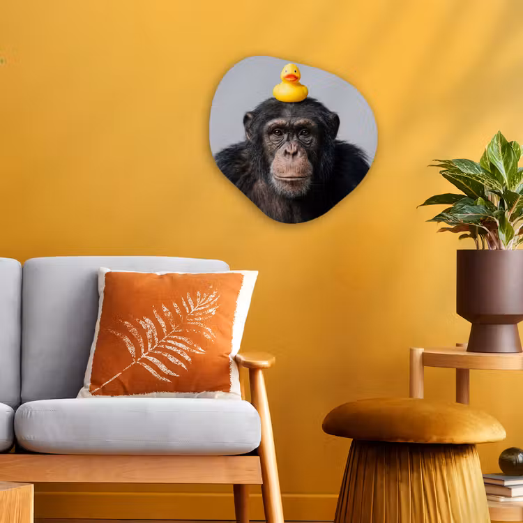 Chimpansee - Badeend - Grijs Wandcirkel Organisch Forex 3mm klein -sfeer4