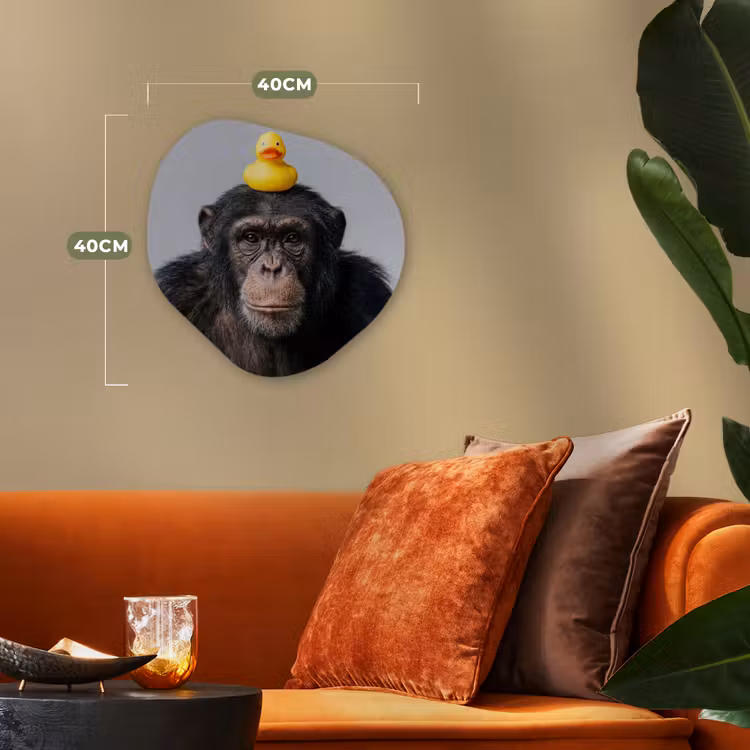 Chimpansee - Badeend - Grijs Wandcirkel Organisch Forex 3mm klein -sfeer3