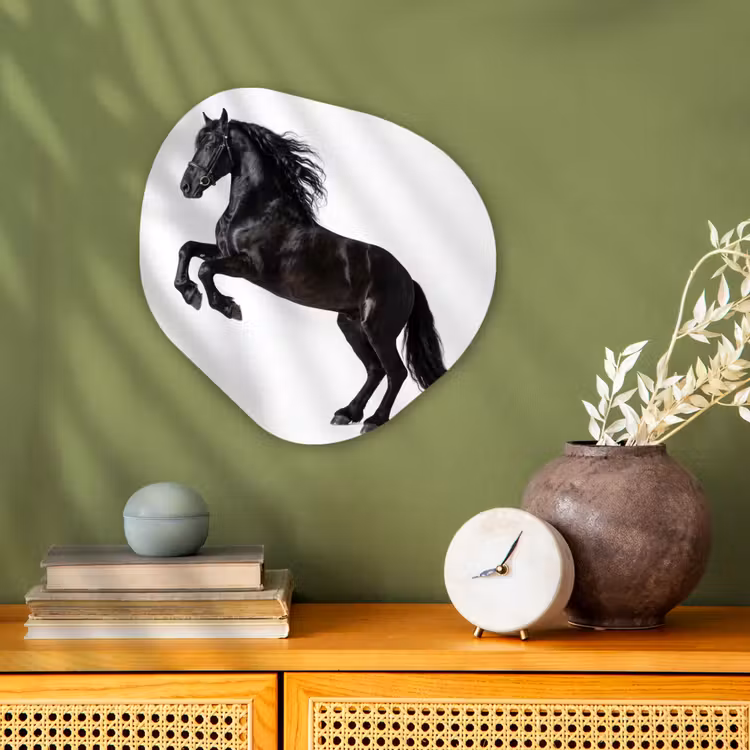 Zwart - Paard - Portret Wandcirkel Organisch Forex 3mm klein -sfeer2
