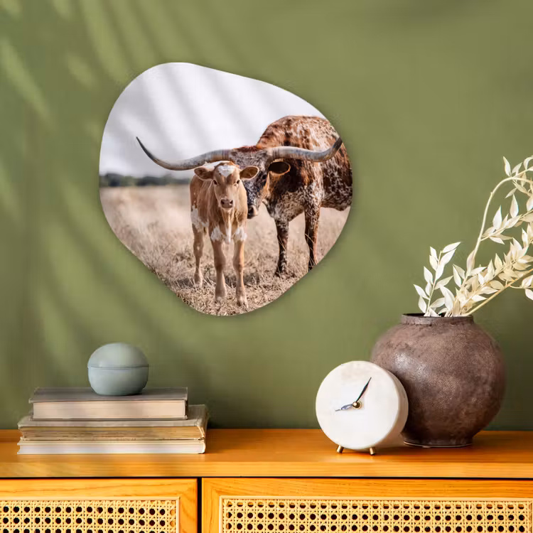 Texas Longhorn - Kalf - Weide - Dieren Wandcirkel Organisch Forex 3mm klein -sfeer2
