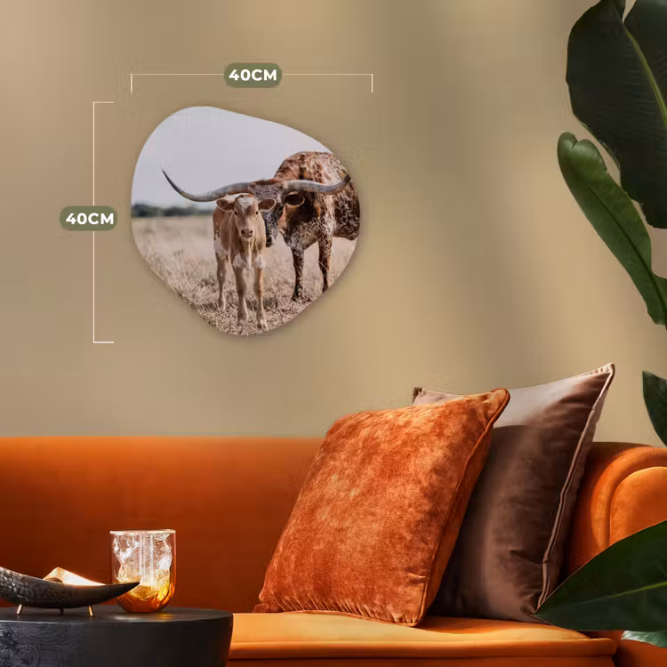 Texas Longhorn - Kalf - Weide - Dieren Wandcirkel Organisch Forex 3mm klein -sfeer3