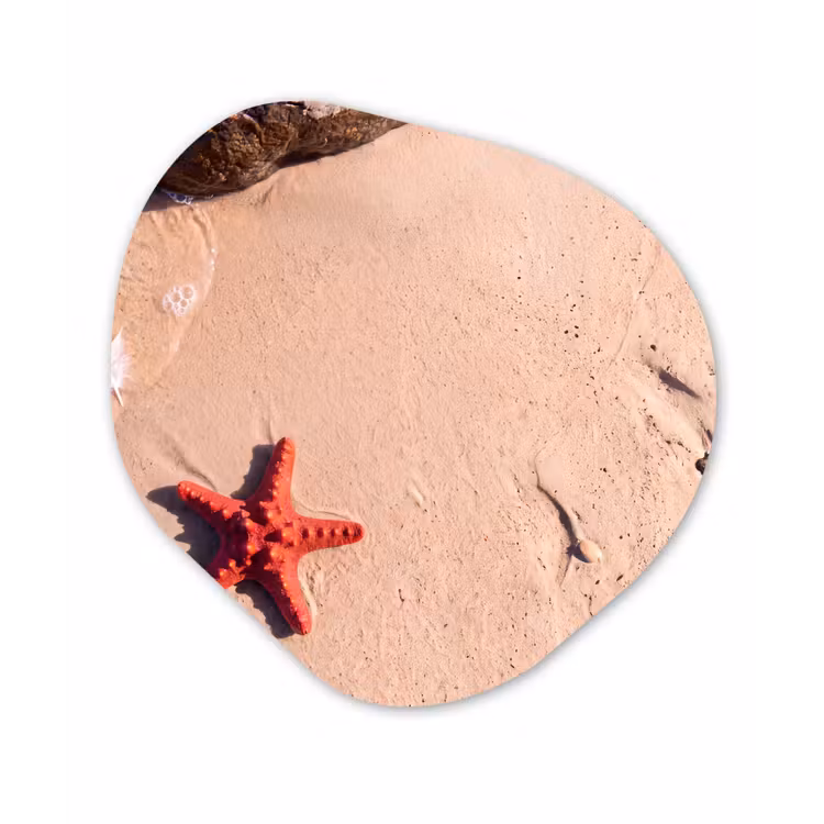 Dieren - Strand - Zee - Natuur - Rood Wandcirkel Organisch Forex 3mm klein -3d