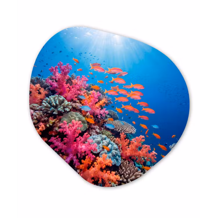 Onderwater - Koraalrif - Vissen - Oceaan - Natuur Wandcirkel Organisch Forex 3mm klein -3d